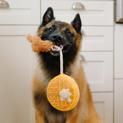 Pet P.L.A.Y. Barking Brunch - Chicken & Woofles - Puppy Village.nl