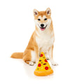 FuzzYard Pizza Slice - Puppy Village.nl