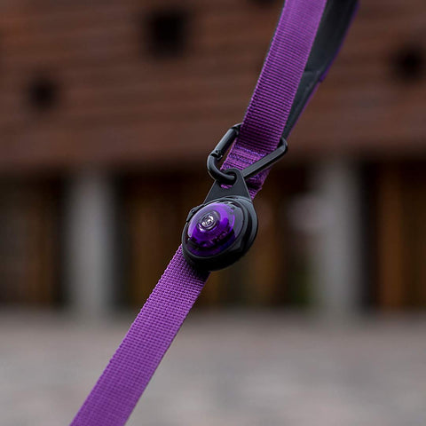 Orbiloc Carabiner - Puppy Village.nl