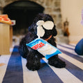 Pet P.L.A.Y. Snack Attack - Fluffles Chips - Puppy Village.nl