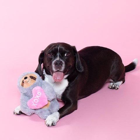 PetShop by Fringe Studio - Hugs and Kisses - Puppy Village.nl