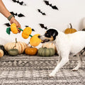 PetShop by Fringe Studio - Stack-O-Lantern - Puppy Village.nl