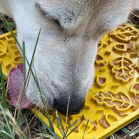 SodaPup Licking eMat - Autumn Design