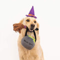 ZippyPaws Halloween Costume Kit - Witch - Puppy Village.nl