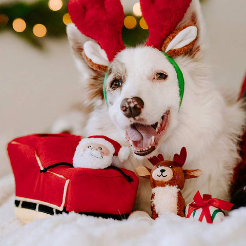 ZippyPaws Holiday Burrow - Santa's Sleigh - Puppy Village.nl