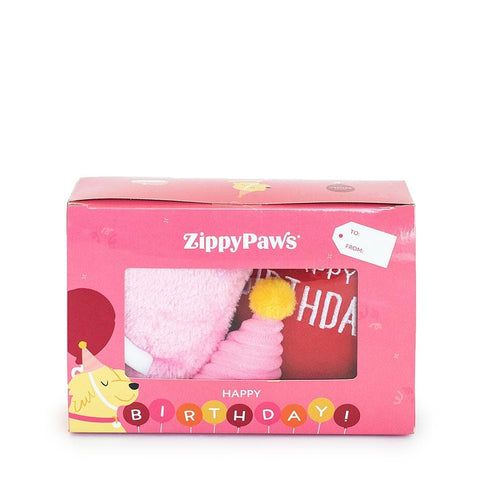 ZippyPaws Birthday Box - Teefje - Puppy Village.nl