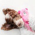 ZippyPaws Valentine's Jigglerz - Pink Bear - Puppy Village.nl