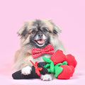 ZippyPaws Valentine's - Bouquet of Roses - Puppy Village.nl