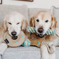 ZippyPaws ecoZippy Cotton and Jute Ball - Puppy Village.nl